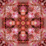 My Crosses  no 3