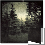 Blurred Forest