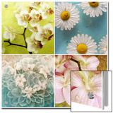 Floral Collage