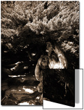 Dryad