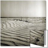 Baltrum Beach  no 8