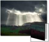 Sunlight Streaks onto Emerald Fields with Trees and Livestock