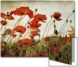 Orange Flower Patch