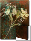 Wilted White Rose and Baby's Breath