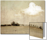 Crop Field and Barn