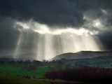 Sunlight Streaks onto Emerald Fields with Trees and Livestock