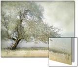 Tree in Field of Flowers