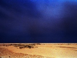 Sand and Grass under Sapphire Sky