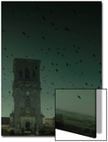 Arcos