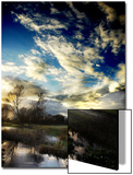Water Meadow