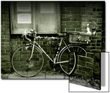 12 Days of Christmas Bicycle