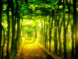 Passage To Enchantment