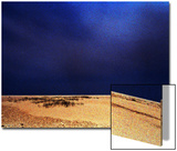 Sand and Grass under Sapphire Sky