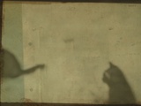 Blurred Cats Sitting