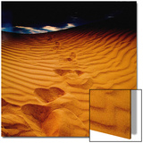 Lost in the Golden Sand