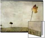 Oversized Butterfly Chained to Ground