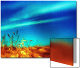 Unfocused Golden Grass