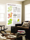 Ireland Historic 1981