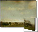 Field of Crops and Trees
