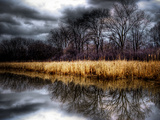 Spring Storm