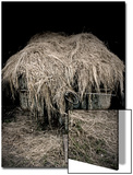 Hay Covered Wagon