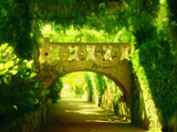 Enchanted Garden  no 2