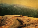 Windy Trail on Hill