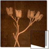 Four Dried Blossoms