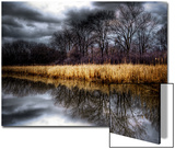 Spring Storm