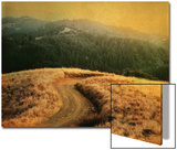 Windy Trail on Hill