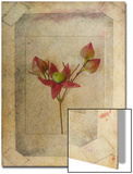 Rose Copie