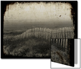Dune Copie