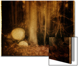 Ghostly Forest Landscape