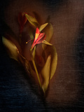 Two Floral Stems