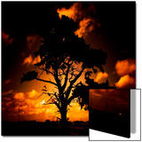 Reality Tree