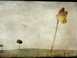 Oversized Butterfly Chained to Ground