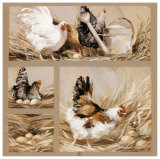 Poules et Arrosoir
