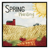Spring