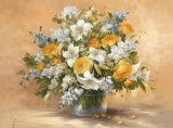 Absolutely Beautiful II