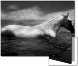 White Horse Swimming