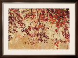 Colorful Season I