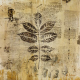 Botanical Sketchbook II