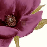 Grandiflora Blush I