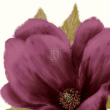 Grandiflora Blush II