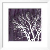Aurora Silhouette I