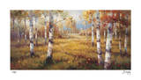 Forest Meadow