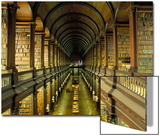 Gallery of the Old Library  Trinity College  Dublin  County Dublin  Eire (Ireland)