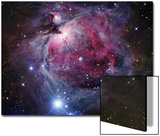 The Orion Nebula