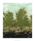 Meadow Abstract II