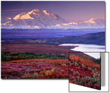 Denali National Park near Wonder Lake  Alaska  USA